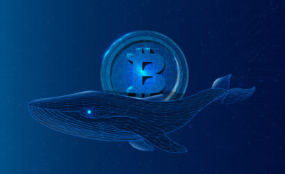bitcoin-balinalari-borsalardan-btc-cekti-buyuk-ralli-mi-geliyor-M7euOFUx.jpg